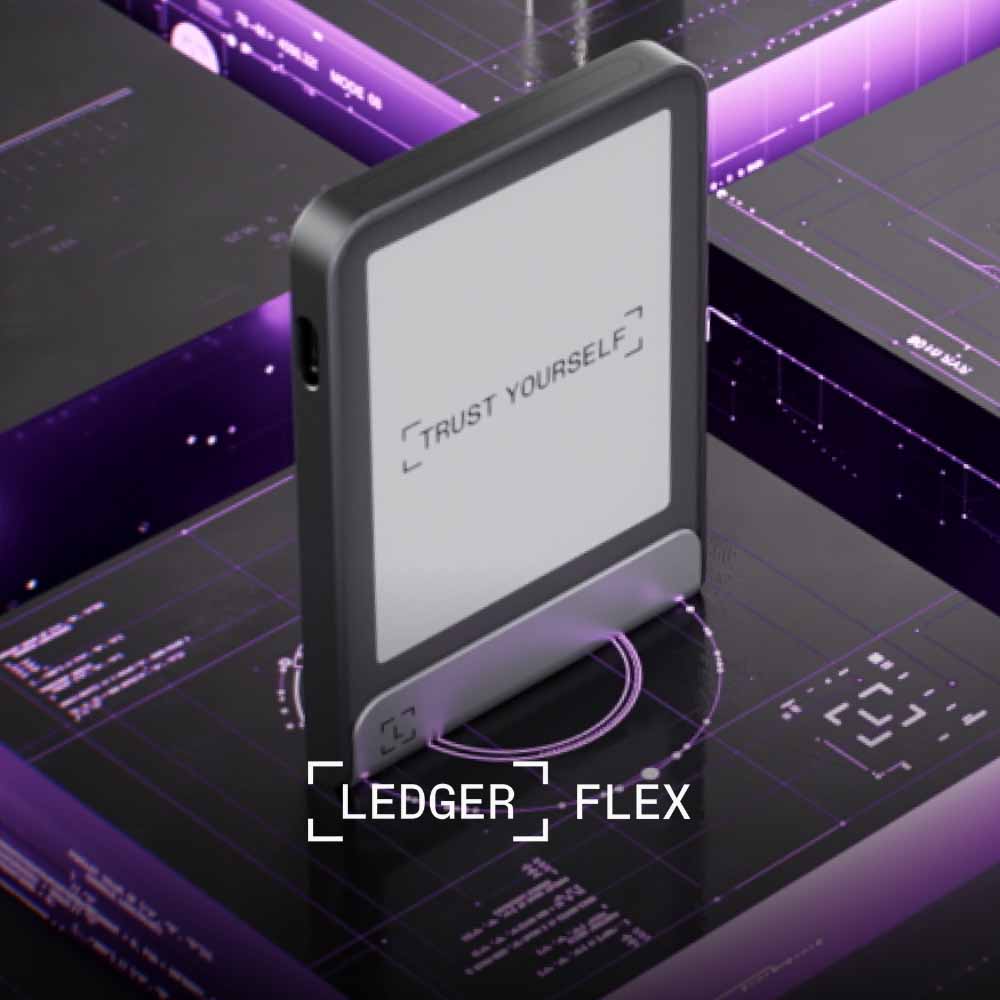 3.pic_ledgerflex
