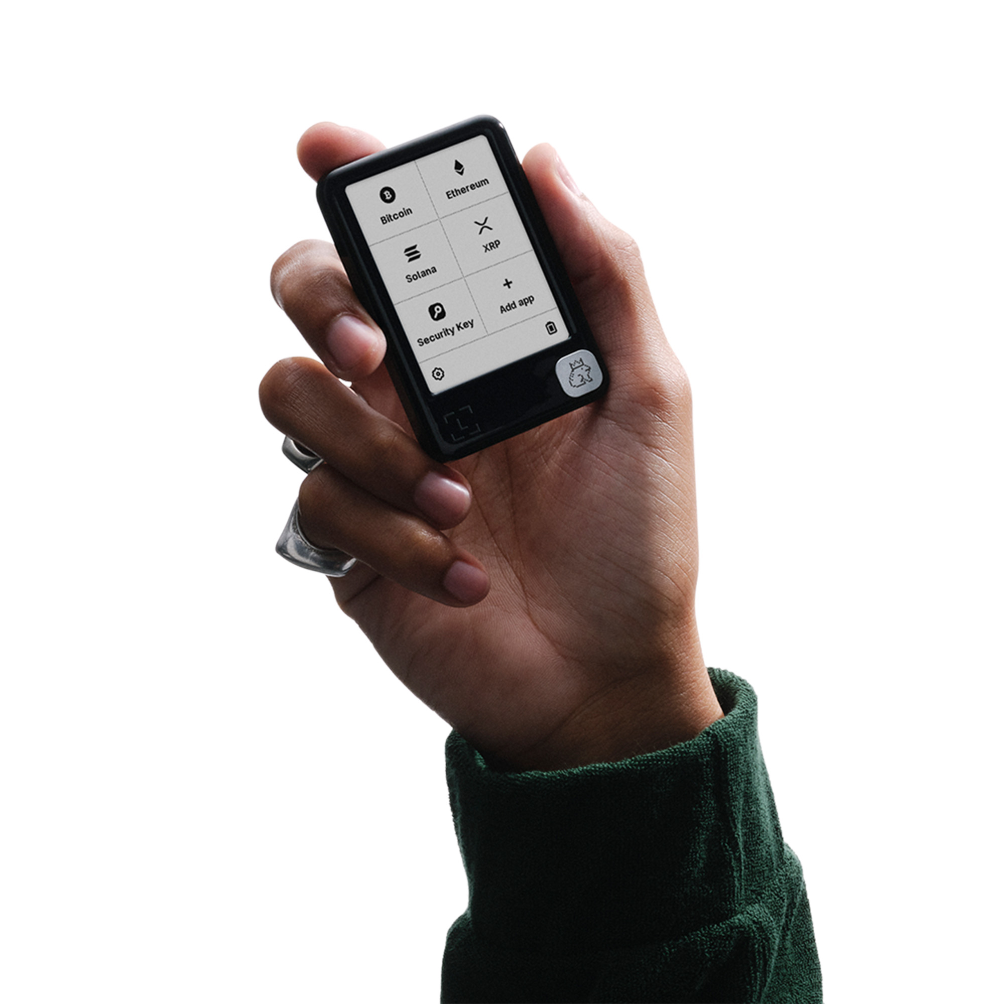 4.pic_ledgernanogen5