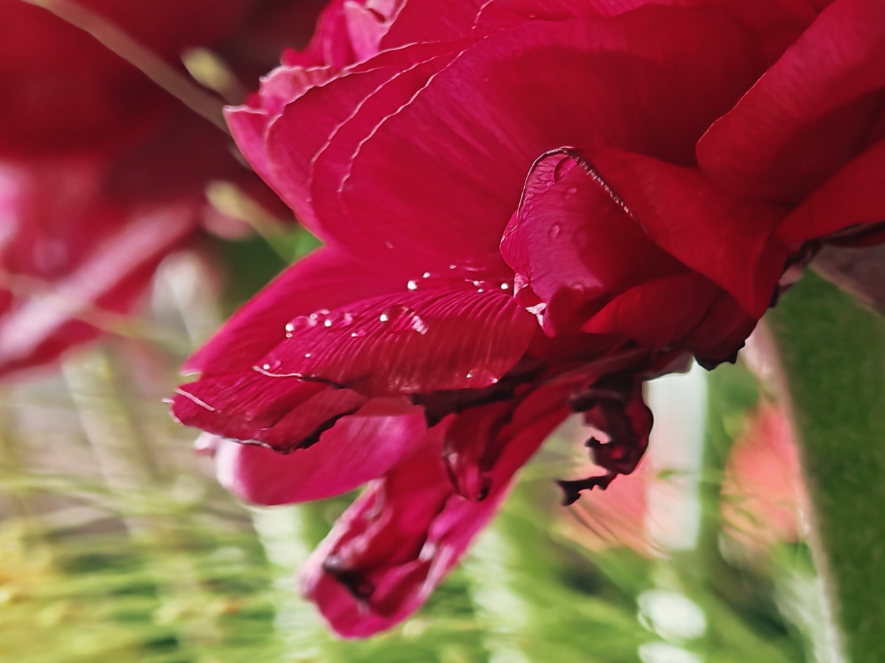 img_20260211_170149_batch