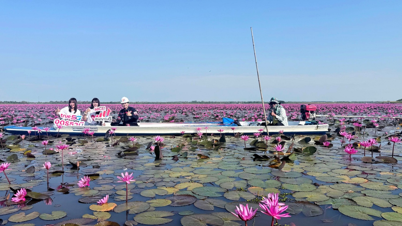 batch_s__166780967_0