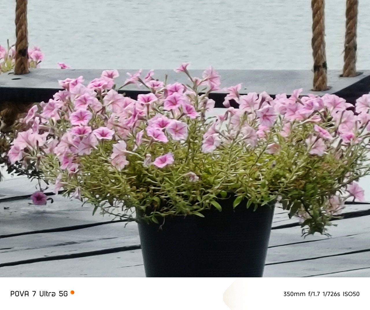 batchimg_20260313_132733_494