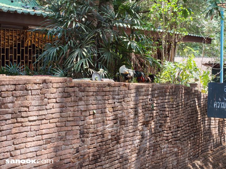 batchimg_20260318_115927069