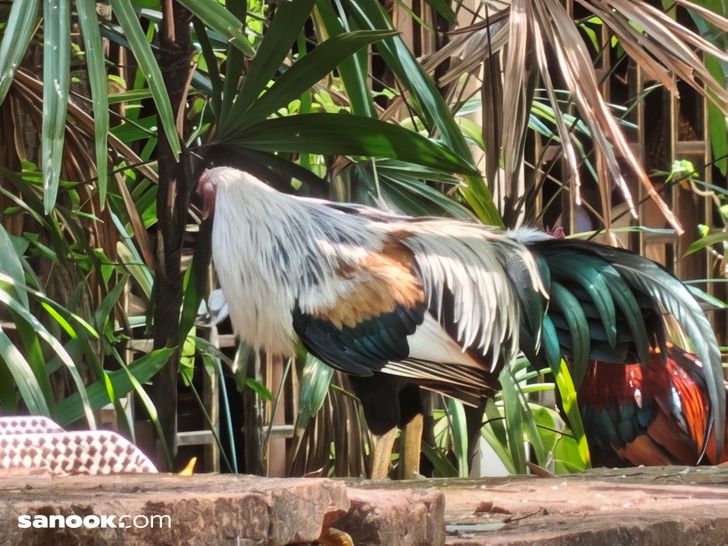 batchimg_20260318_115931866