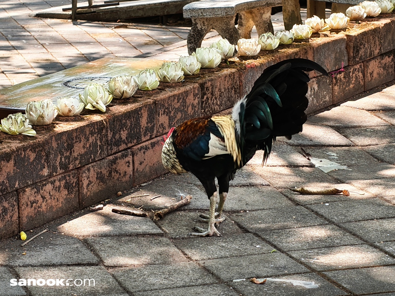 img_20260318_120128886_batch