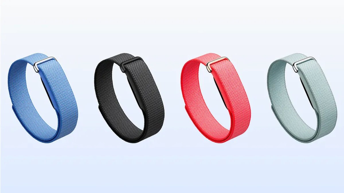 fitbit-1