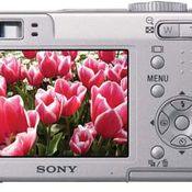 Sony DSC-W5