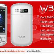 WellcoM W313 