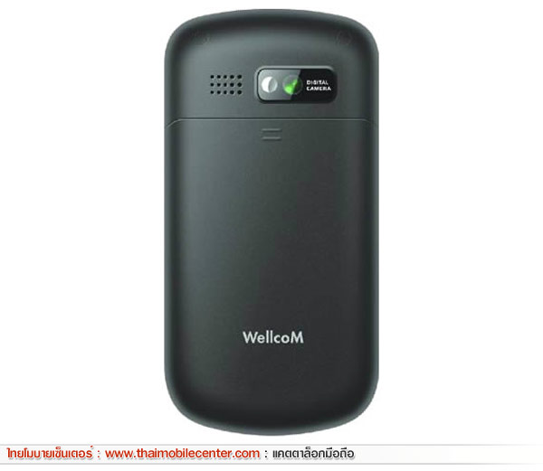 WellcoM W313 