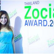 Zocial Award 2013