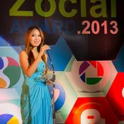 Zocial Award 2013