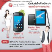  Thailand Mobile Expo 2013 Hi-End 