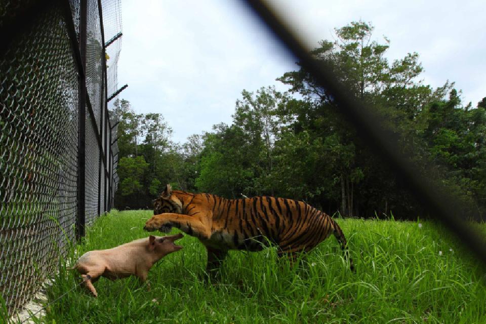 Time คัดภาพเด็ดสุดตะลึง The Most Surprising Photos of 2013