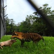 Time คัดภาพเด็ดสุดตะลึง The Most Surprising Photos of 2013