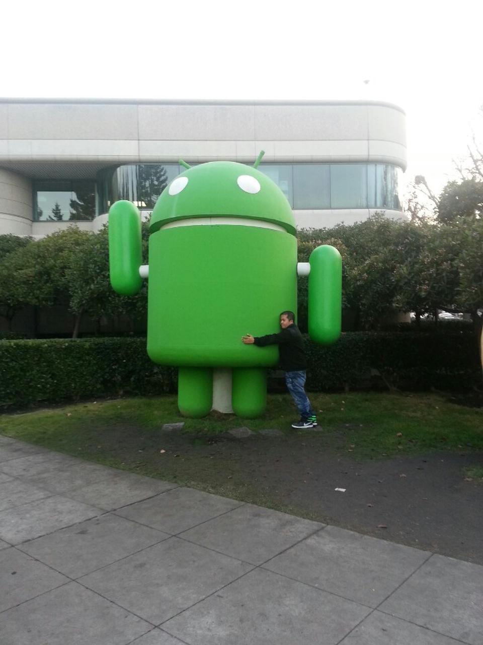 The Android lawn 