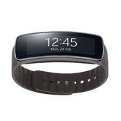 Samsung Gear Fit 