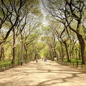 Central Park, New York City