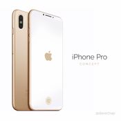 พาชมคอนเซปต์ iPhone Pro 