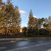 Apple Park