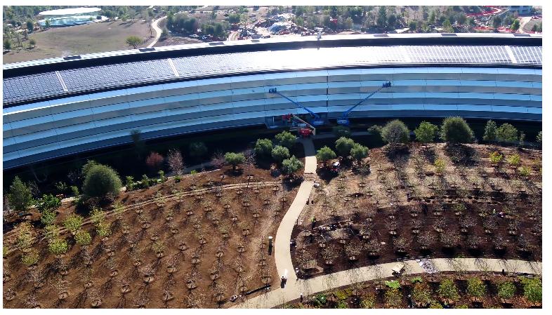  Apple Park 