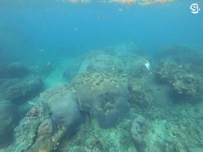 ภาพถ่ายจาก GoPro Hero 6