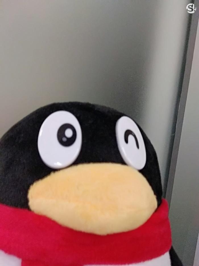 ตัวอย่างภาพถ่ายจาก Xiaomi Redmi 5A