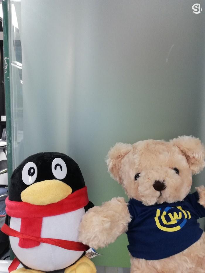 ตัวอย่างภาพถ่ายจาก Huawei Y9 2018