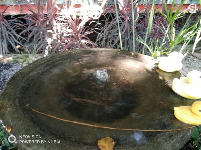 ตัวอย่างภาพถ่ายจาก Nubia Z17 Mini S