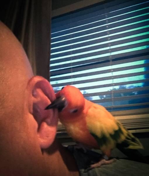 ภาพความผิดพลาดที่เกิดจากการ Selfies