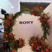 บรรยาอากาศของ Sony Meets Arts