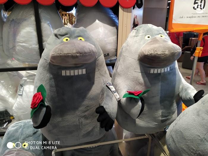 ตัวอย่างภาพถ่ายจาก Xiaomi Mi 8 Lite