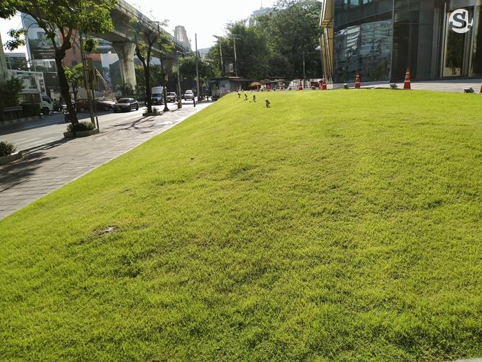 ตัวอย่างภาพถ่ายจาก Huawei Y Max