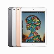 iPad Mini 5 / iPad Air Gen 3