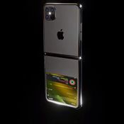 iPhone 12 Flip