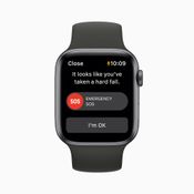 Apple Watch SE / Fitness +