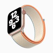 Apple Watch SE / Fitness +