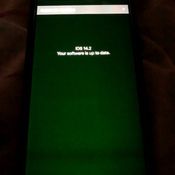 iPhone 12 series green tint issue