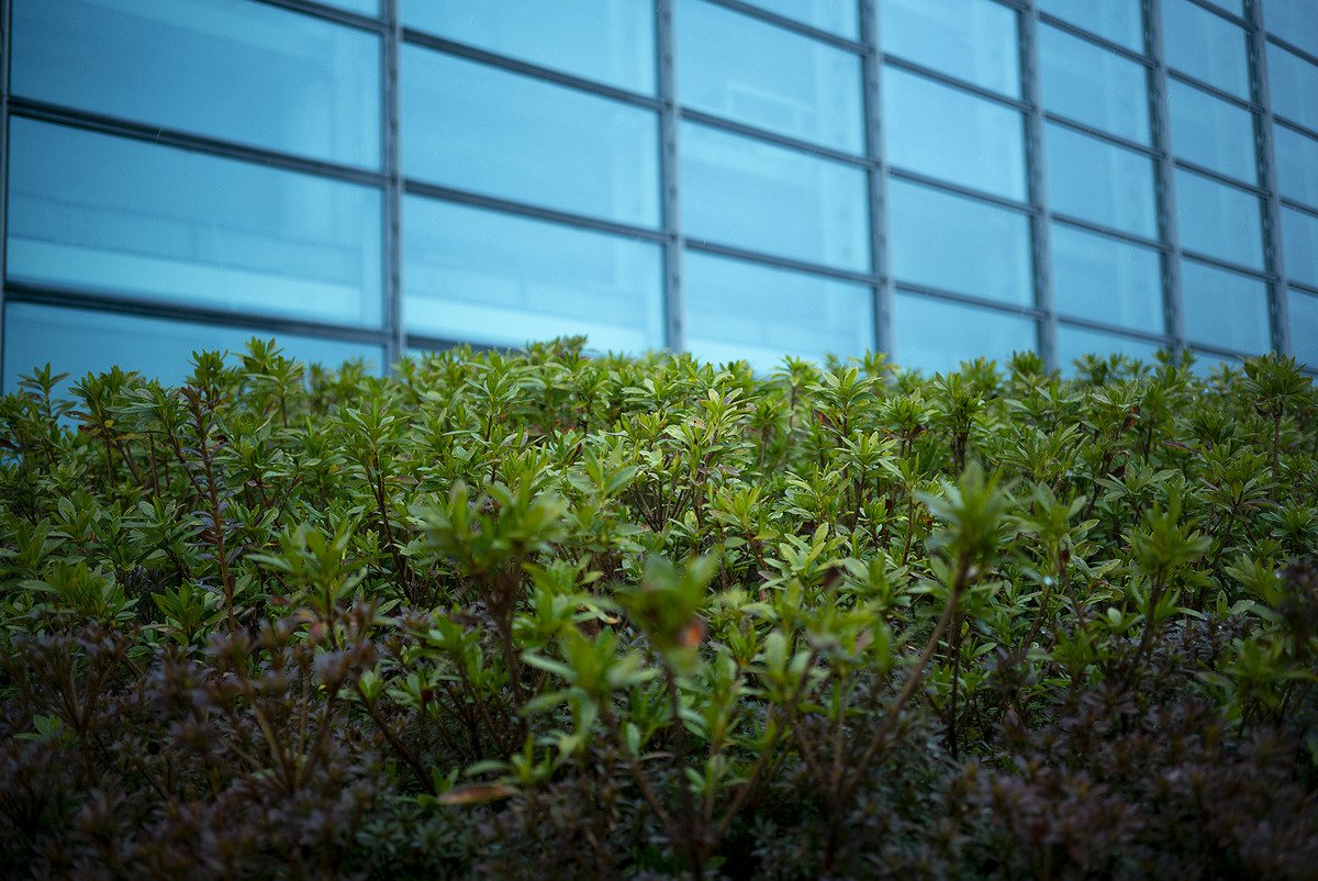 เปิดตัว Voigtlander 40mm F28 Aspherical สำหรับกล้องเมาท์ Leica VM และ L39