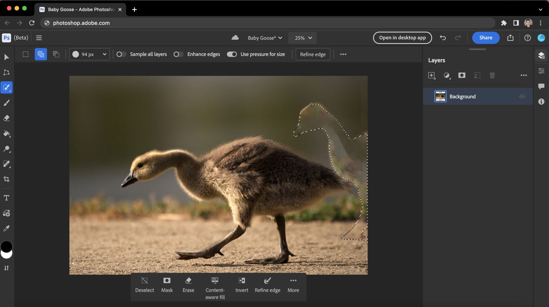 Adobe เติมพลังให้ Photoshop และ Lightroom ด้วยอัปเดตใหญ่ ฟีเจอร์ใหม่เพียบ