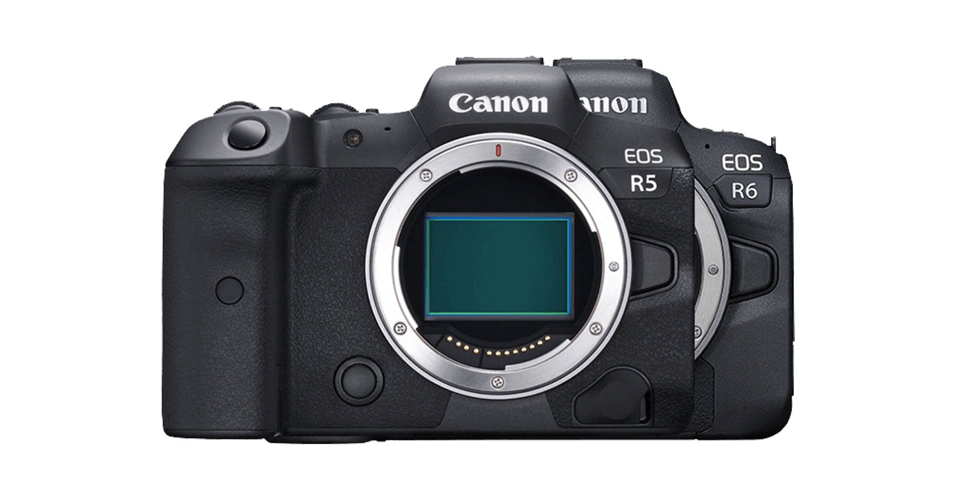 เฟิร์มแวร์ใหม่ Canon EOS R5 และ EOS R6 V170 แก้อาการผิดปกติเมื่อถ่ายวัตถุขนาดเล็ก