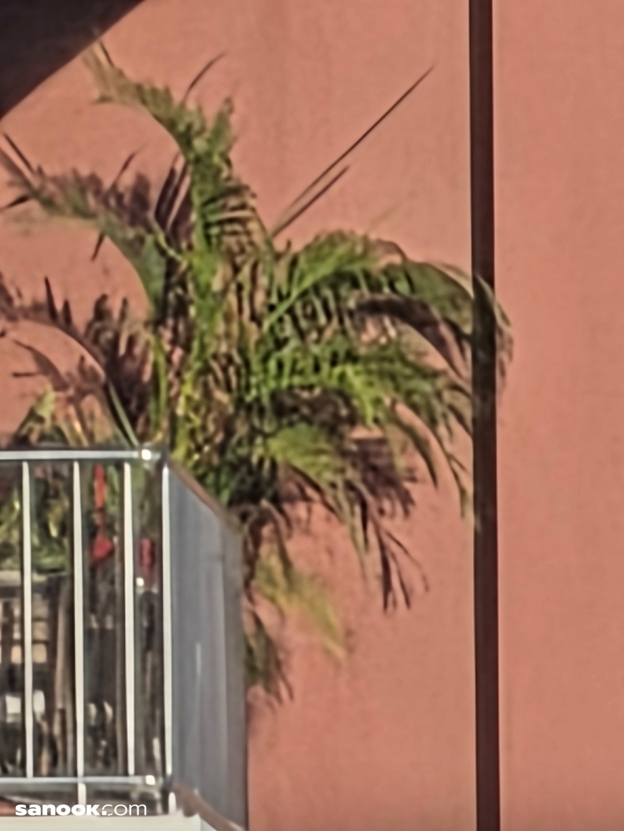 ภาพ Galaxy S25 Ultra