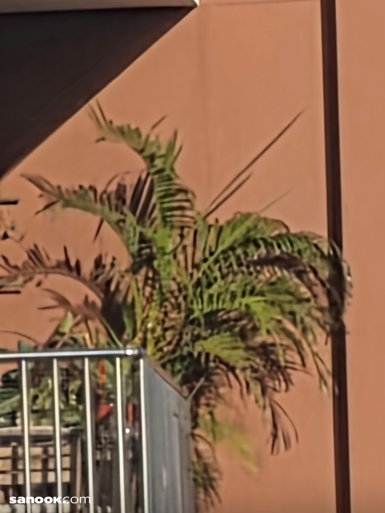 ภาพ Galaxy S26 Ultra