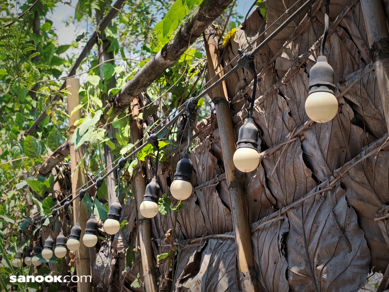 ภาพจาก Nothing Phone (4a) Pro
