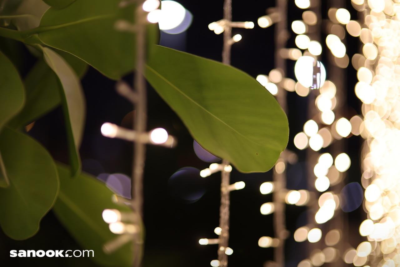 ตัวอย่างภาพ Canon EOS R6 Mark III