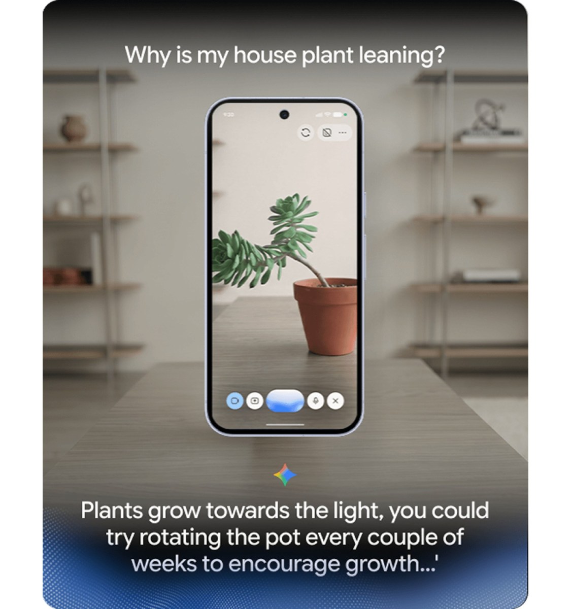 Pixel 11