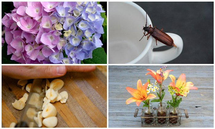 13 ประโยชน์ชวนอึ้ง “ผงกาแฟ” ทำแบบนี้ได้เหรอ ?