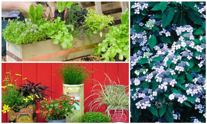 15 ไอเดีย “จัดสวนคอนโด” สดชื่น ร่มรื่นในพื้นที่จิ๋ว