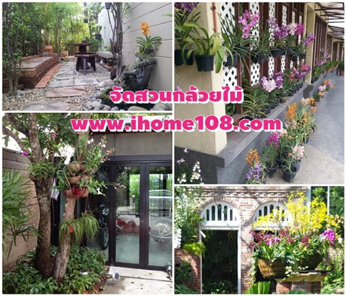 ไอเดียจัดสวนกล้วยไม้ในบ้าน