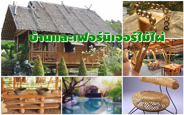 แบบบ้านไม้ไผ่และเฟอร์นิเจอร์จากไม้ไผ่สวยๆ