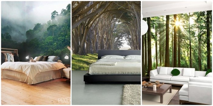 15 Natural Wallpaper เปลี่ยนบรรยากาศในห้องให้เป็นทุ่งหญ้าและป่าใหญ่