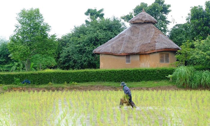 ไอเดียสร้างบ้านดิน บ้านเย็น ติดท้องทุ่งนา